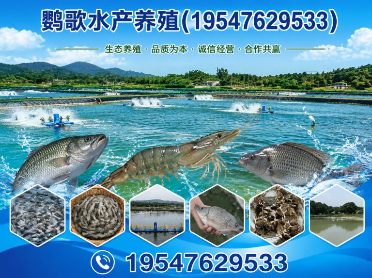 成华区鹦歌水产养殖展示图